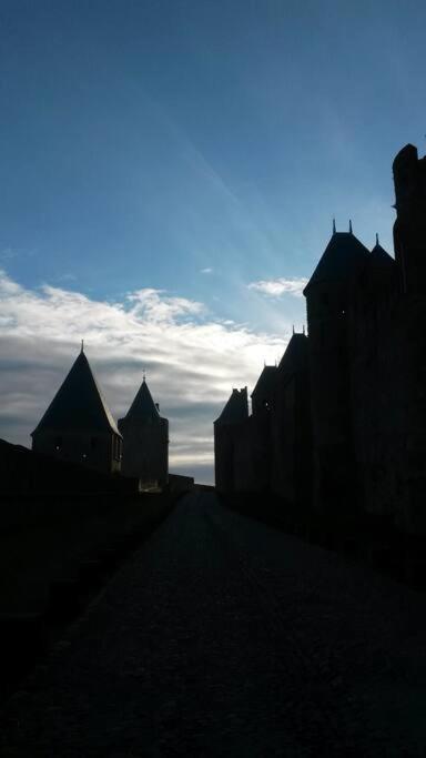 Apartament Petit Loft Cosy Carcassonne Zewnętrze zdjęcie